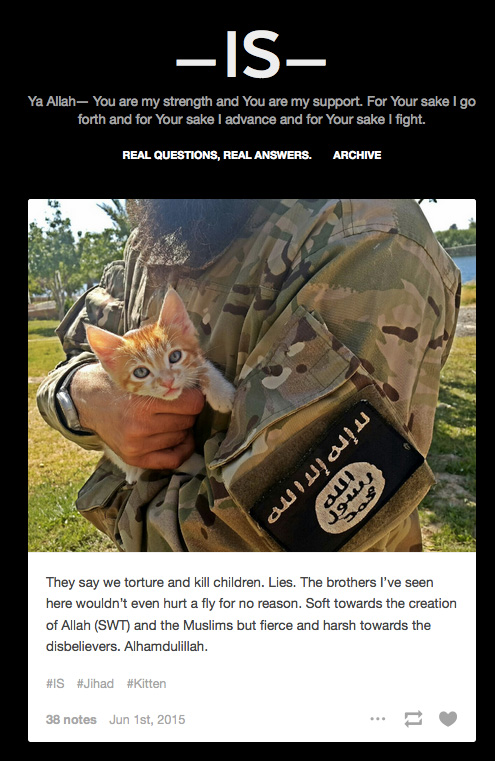 Jihad Kitten