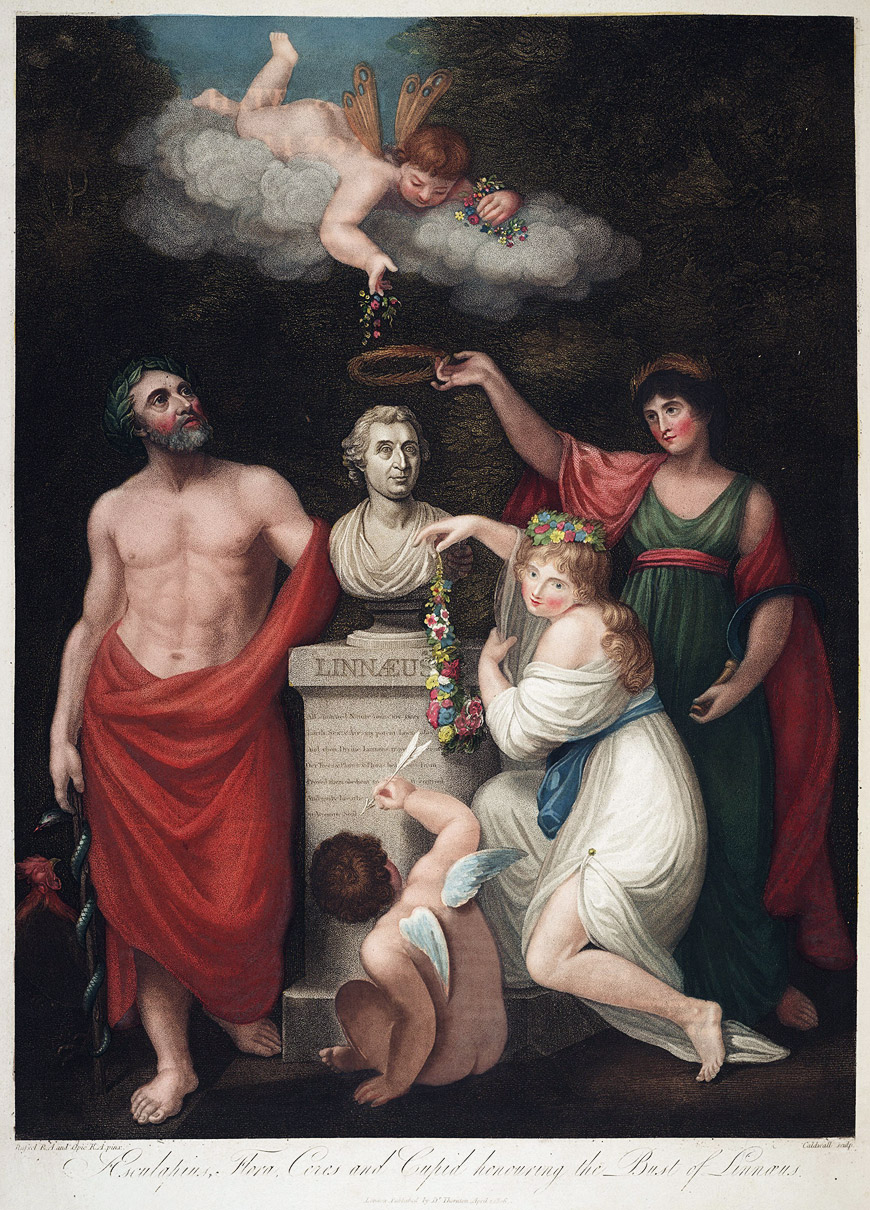 Aesculapius, Flora, Ceres and Cupid honouring the Bust of Linnæus