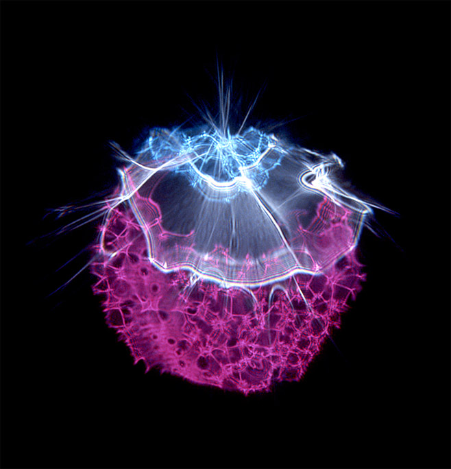 2009-reciprocity-04.