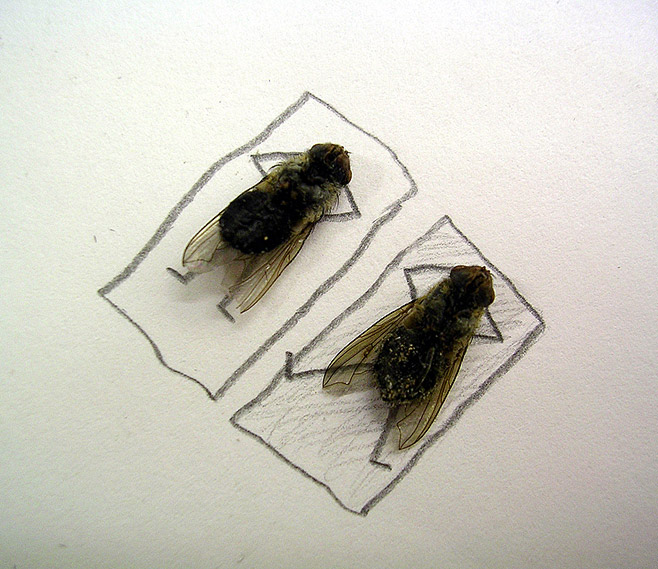 Prendre la mouche