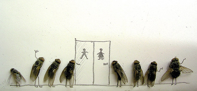 2009-mouches-4.