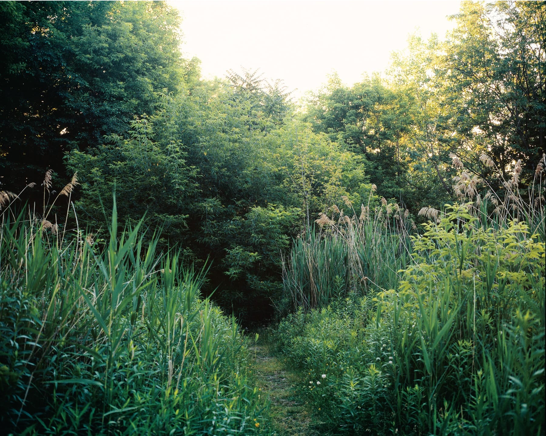 Cruising by Chad States