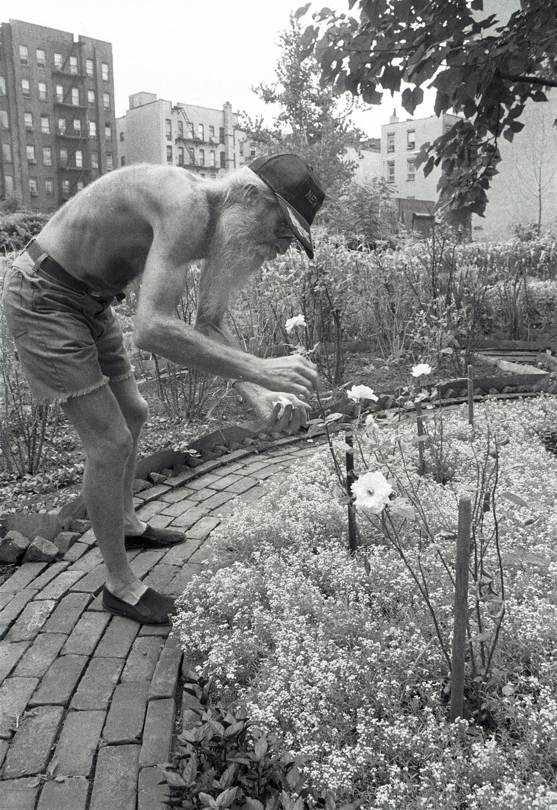 Adam Purple and The Garden of Eden, NYC