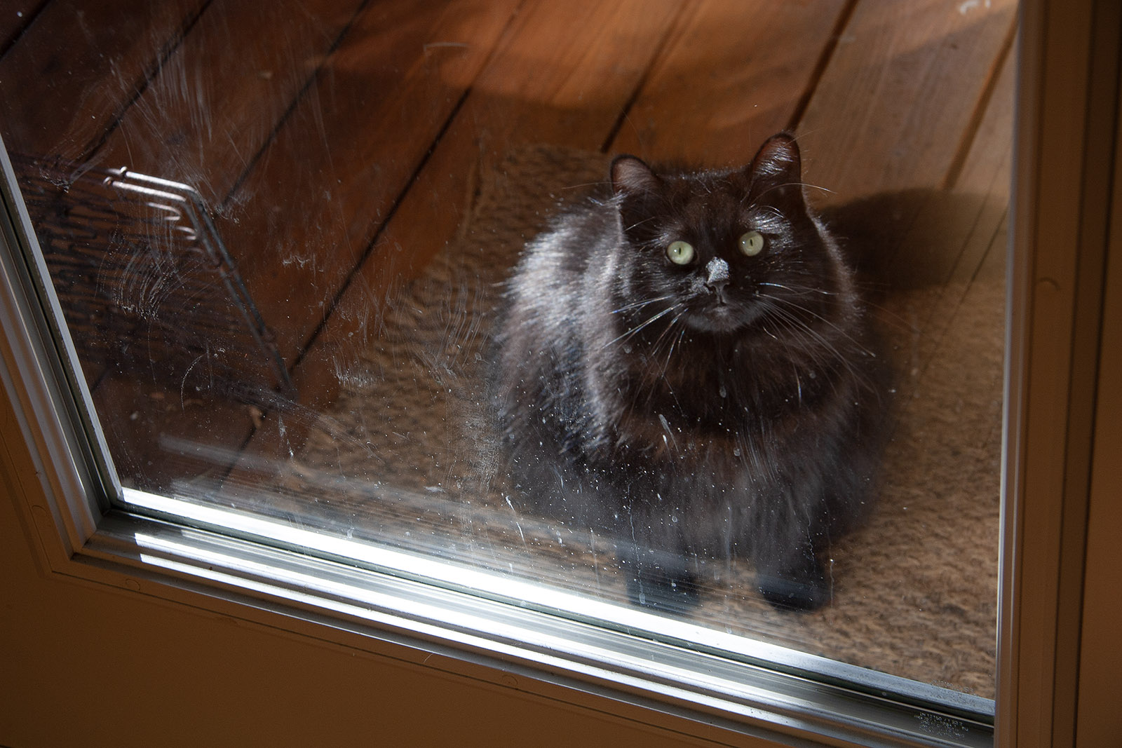 L’hiver arrive (no 1)