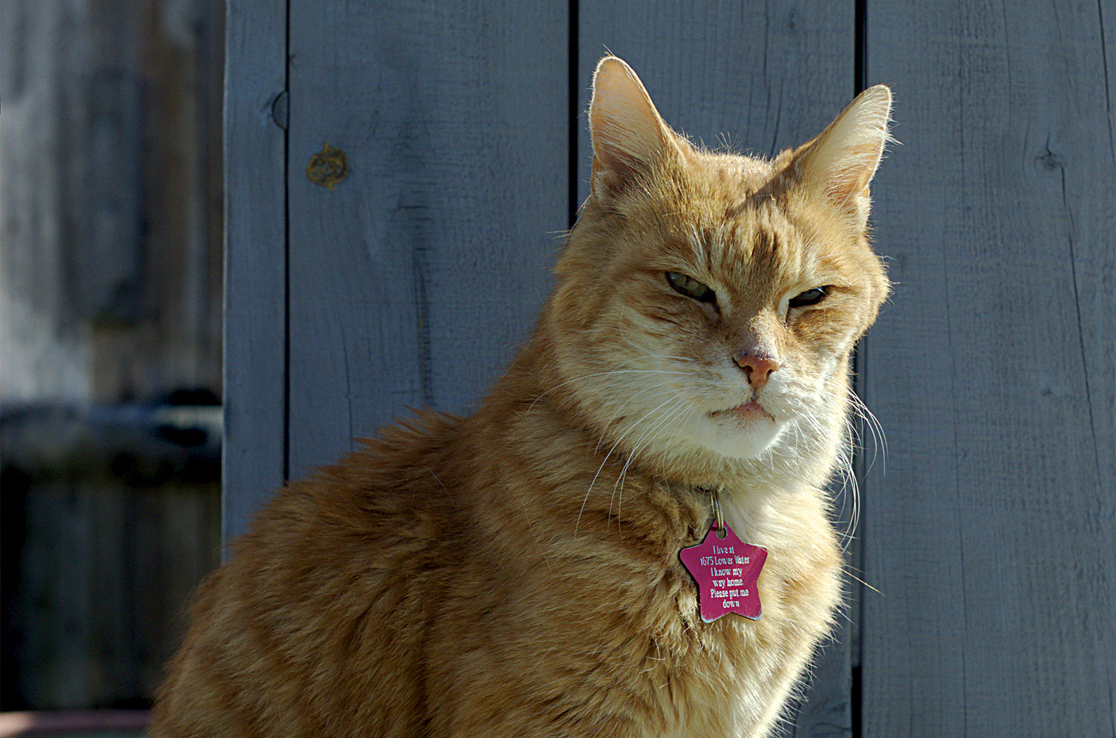 Erik the Red gets retirement