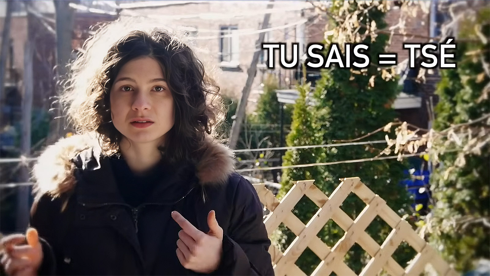 Le québécois pour les nuls