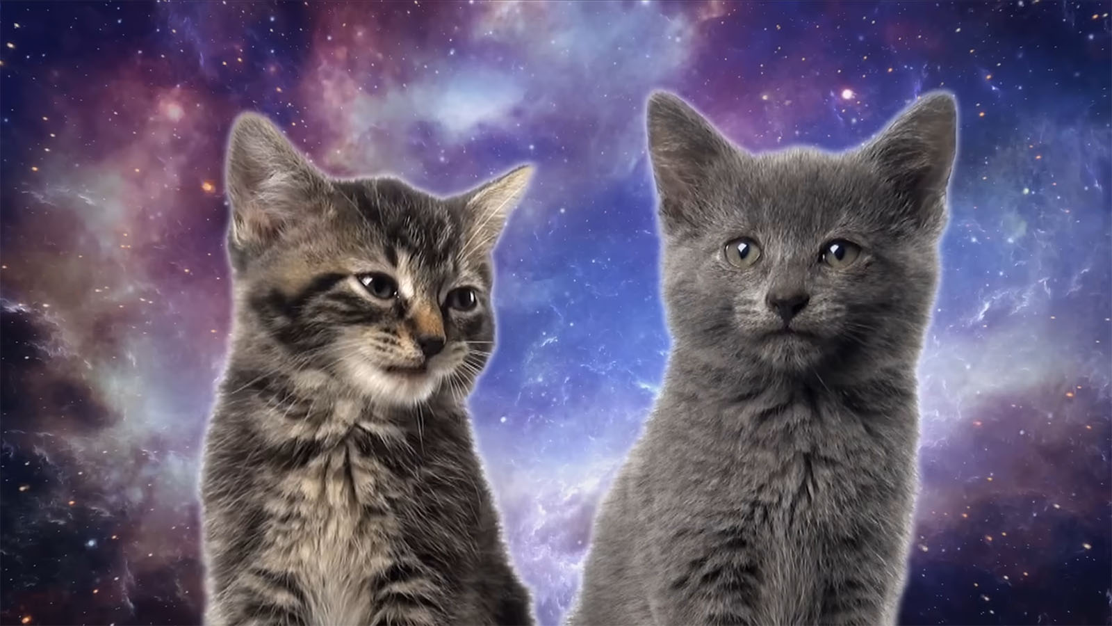 Miaoulodie de l’espace