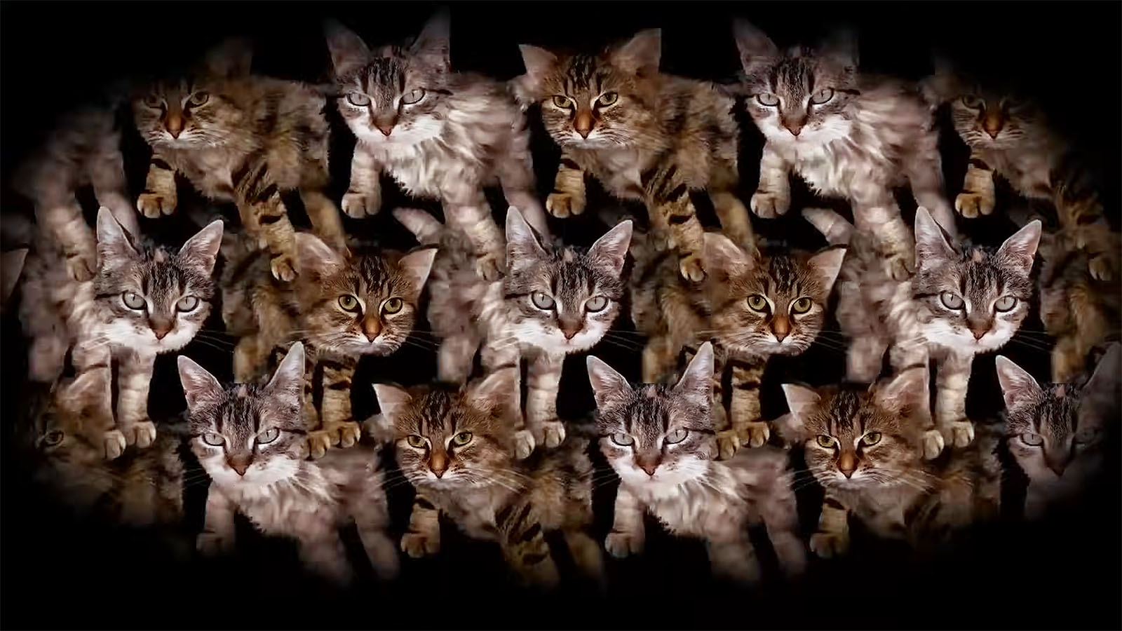 Run The Jewels, “Meowpurrdy”