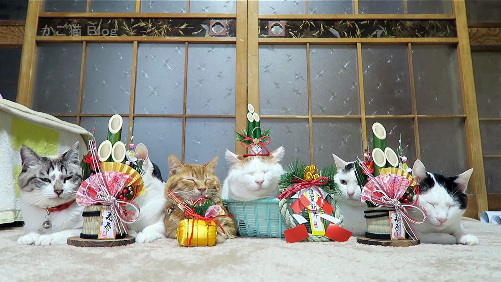 Bonne année !