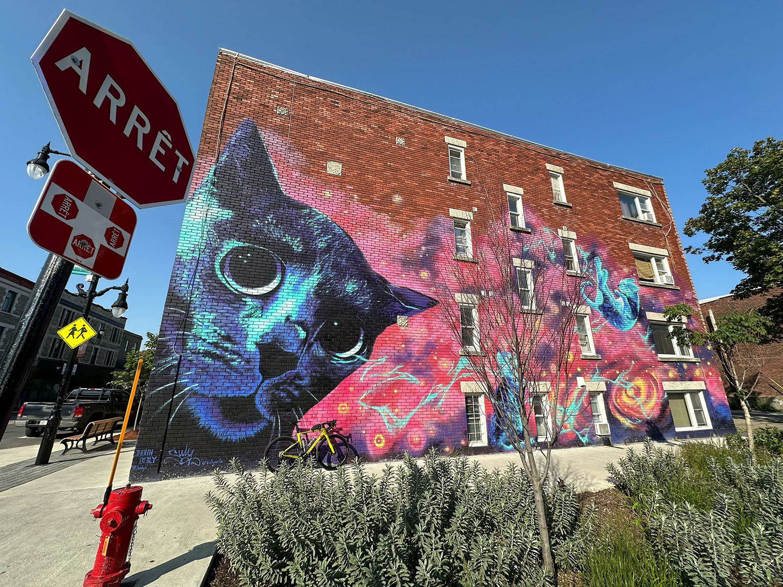 Murale “Cosmic Cats”, Viauville