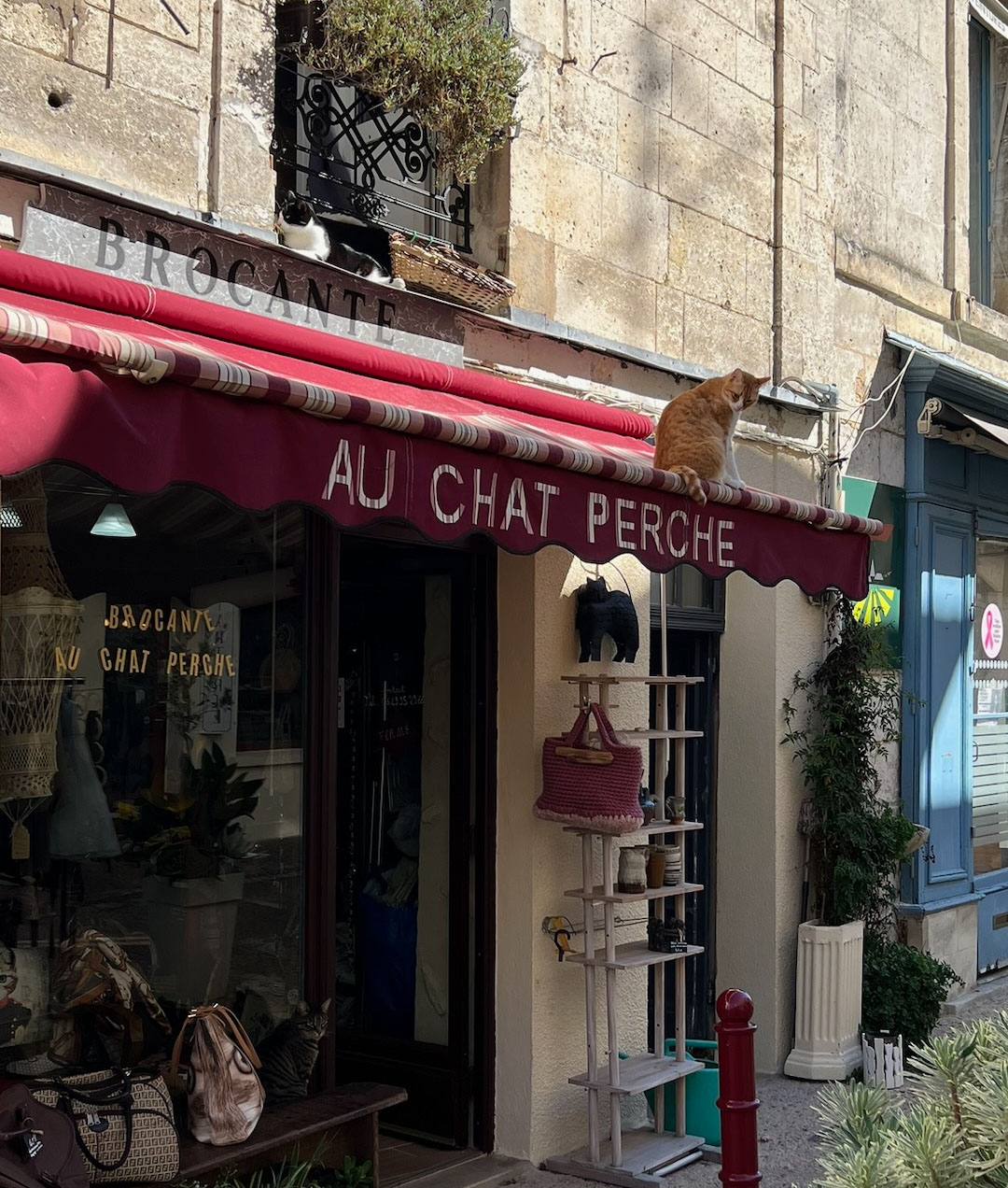 Au chat perché