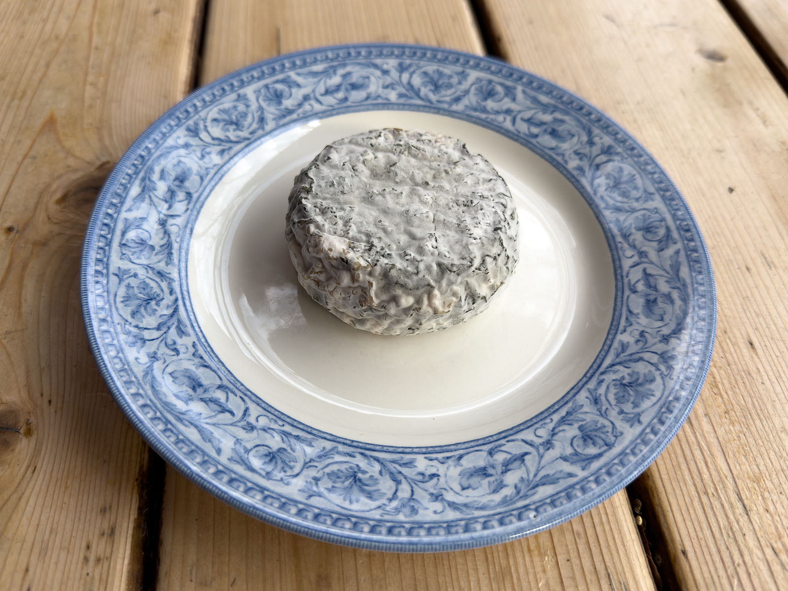 Ti-bleu d’Ahuntsic. Montréal