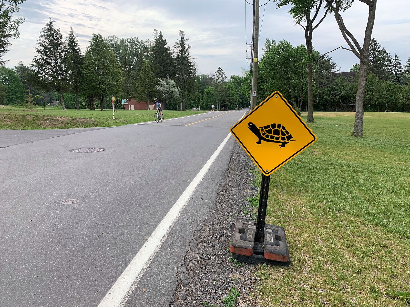 Panneau “attention aux tortues”