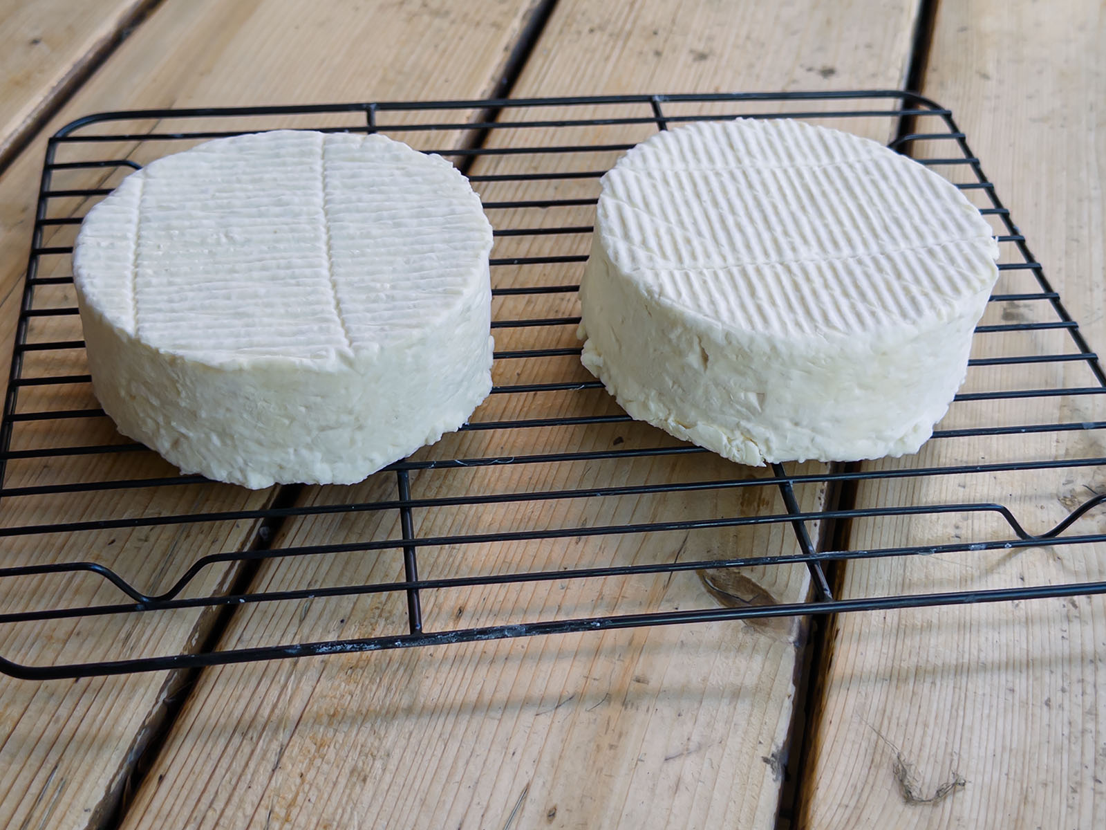 Camembert à l’issue du ressuyage.