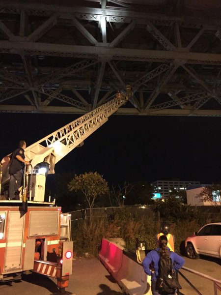 Sauvetage de chat au pont Jacques Cartier